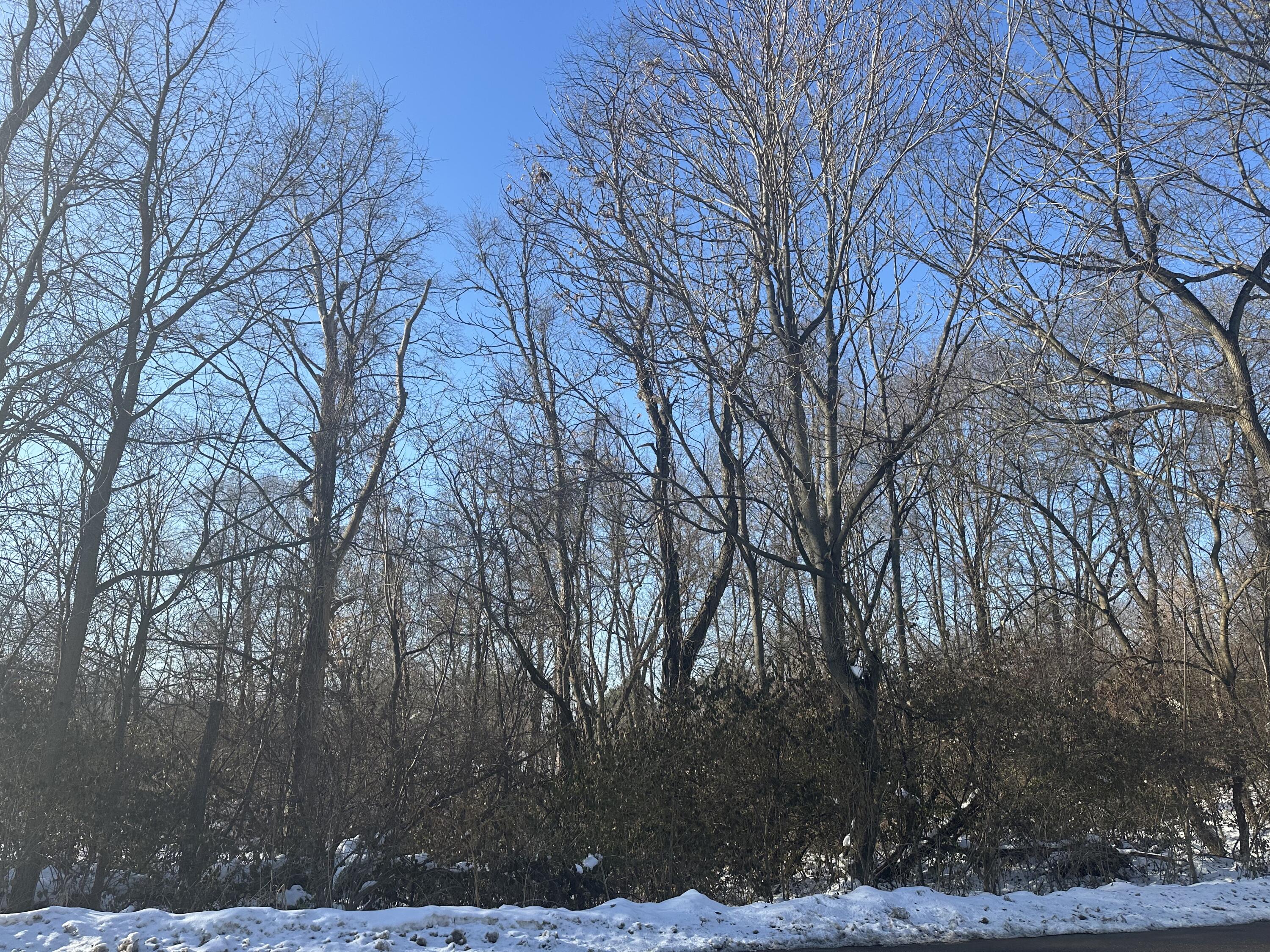 369 Kincaid Street Kalamazoo, MI 49048 - Photo 2 of 2 IMG_1249