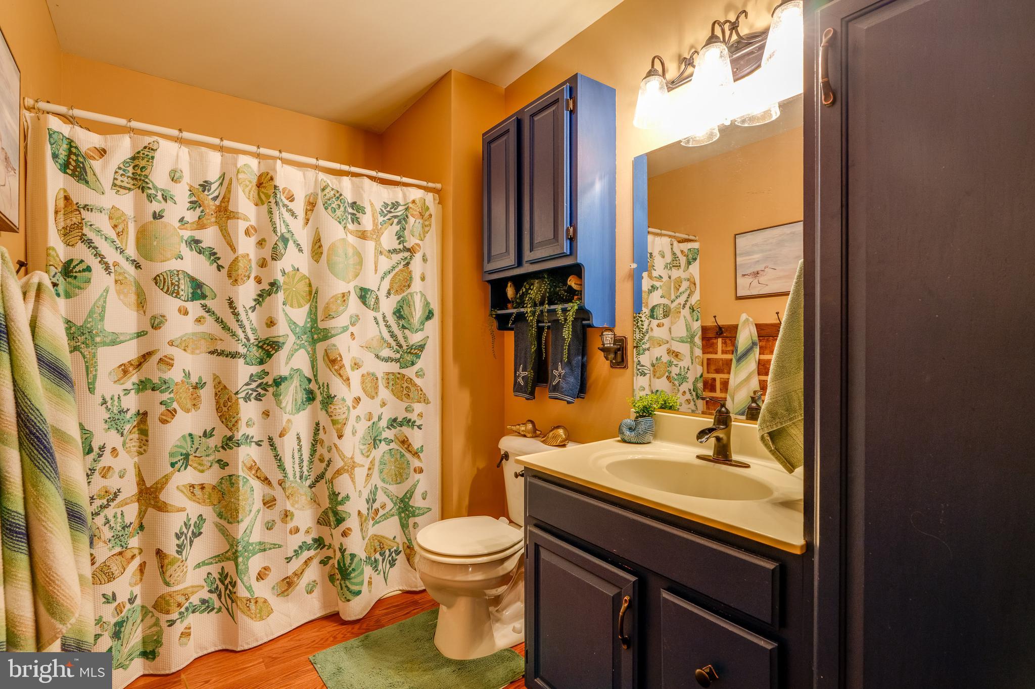 30 Hollow Road Reinholds, PA 17569 - Photo 9 of 40 Gallery Image 9