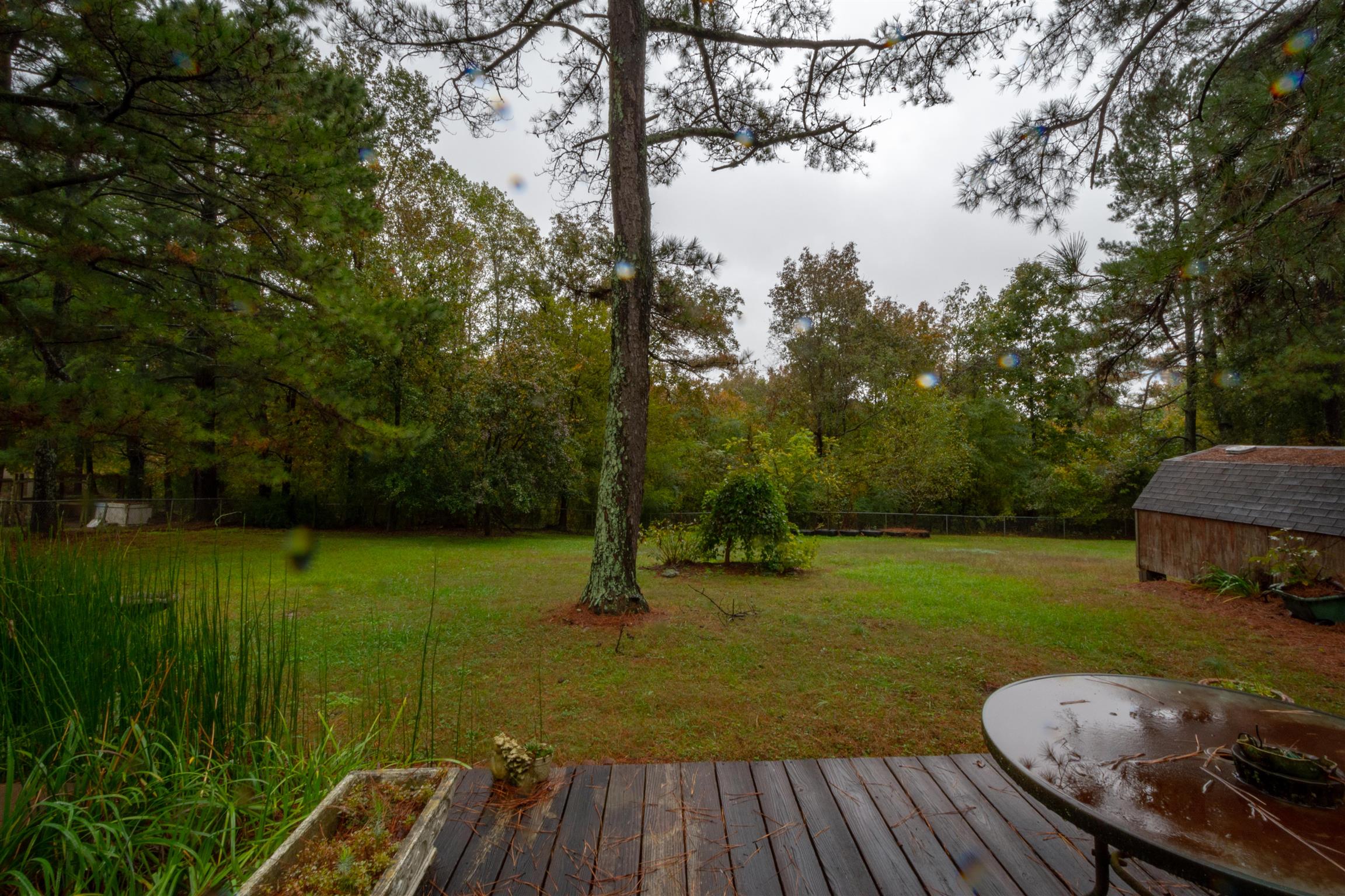 1309 Oak Grove Road Goodspring, TN 38460 - Photo 26 of 29 a view of a backyard with slide