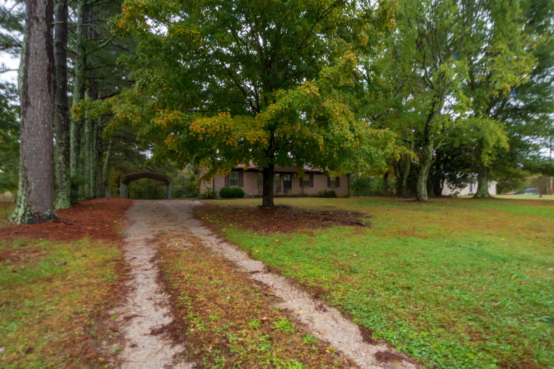 1309 Oak Grove Road Goodspring, TN 38460 - Photo 29 of 29 a view of outdoor space with deck and trees