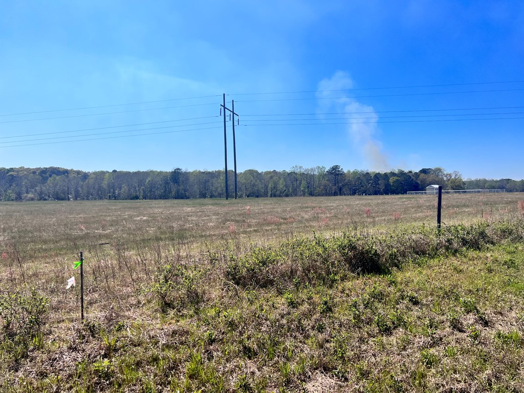 0 Co Road Headland, AL 36345 - Photo 6 of 6