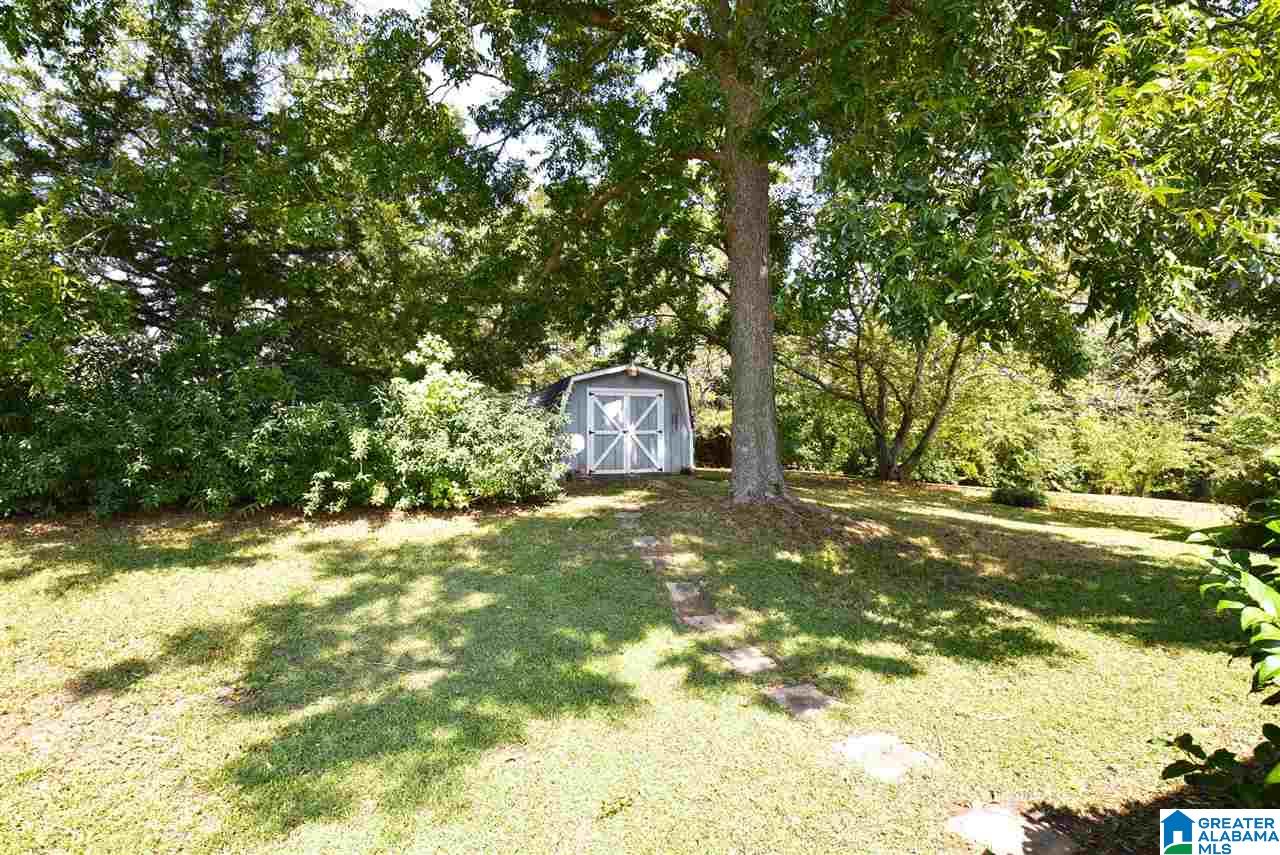 696 Mill Street Wedowee, AL 36278 - Photo 3 of 16