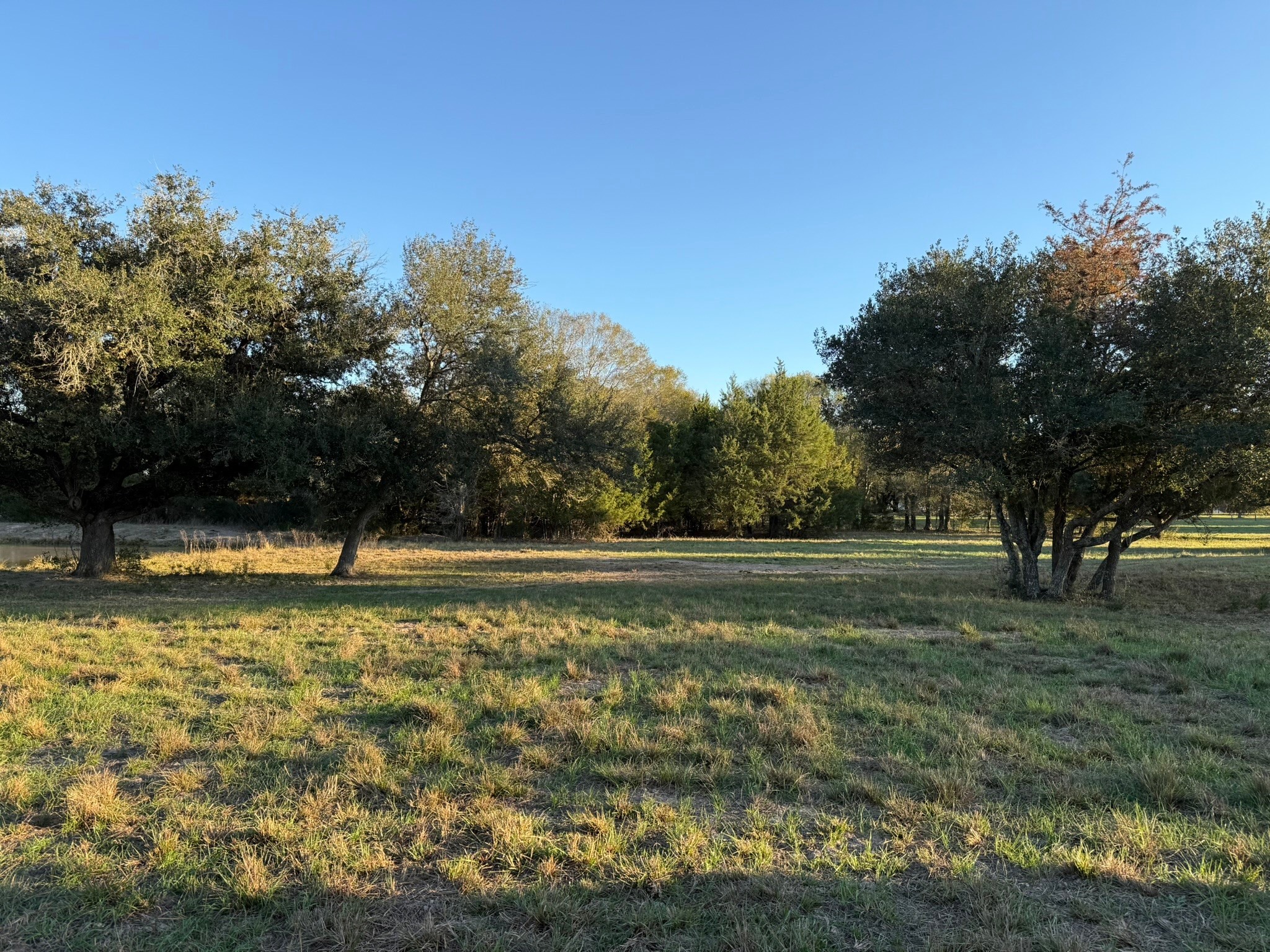 Tbd Rubin Lee Road Cat Spring, TX 78933 - Photo 13 of 23 a view of a yard with trees