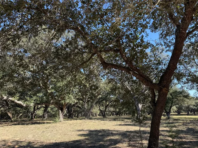 a view of yard covered with snow