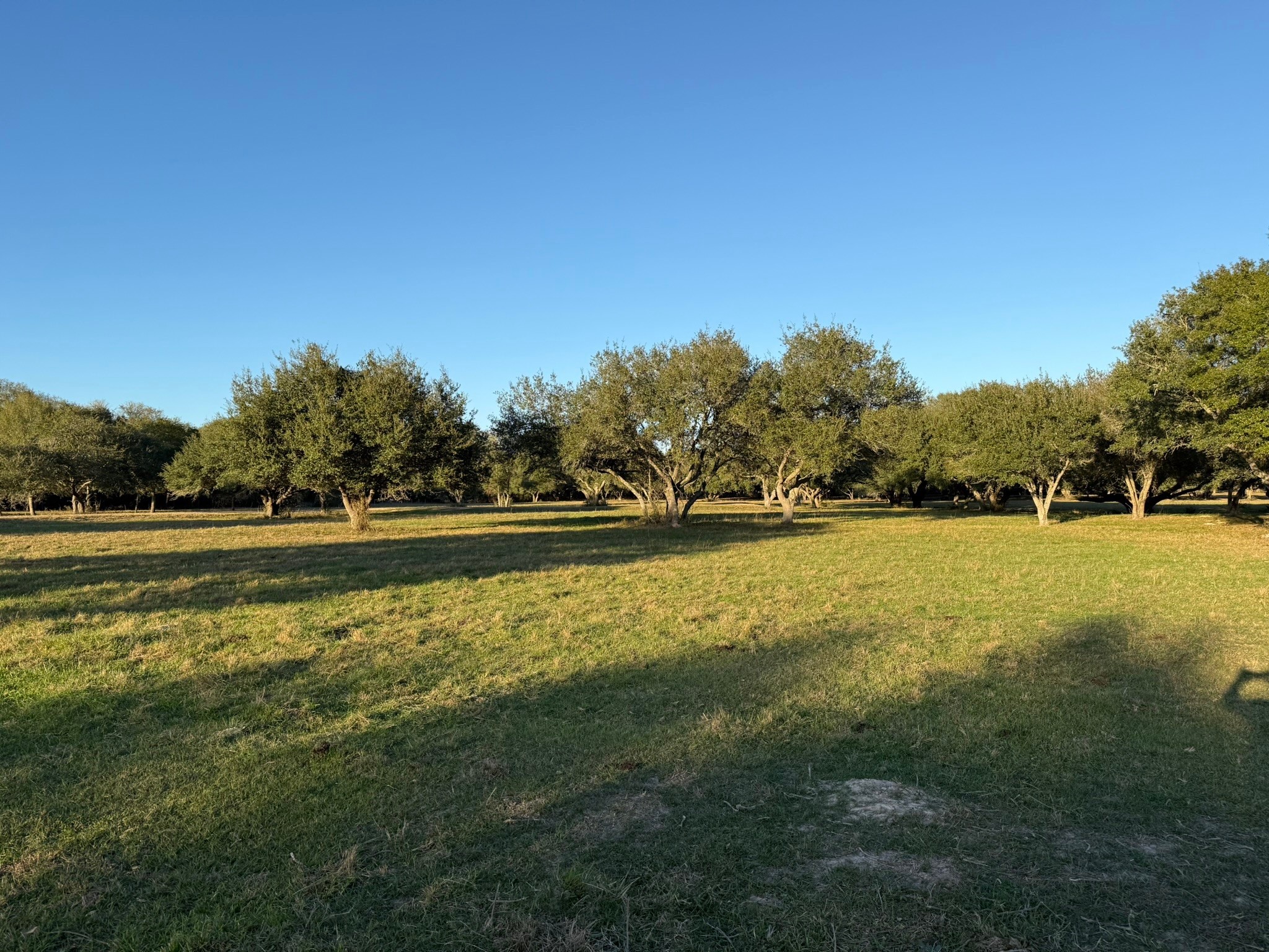 Tbd Rubin Lee Road Cat Spring, TX 78933 - Photo 18 of 23