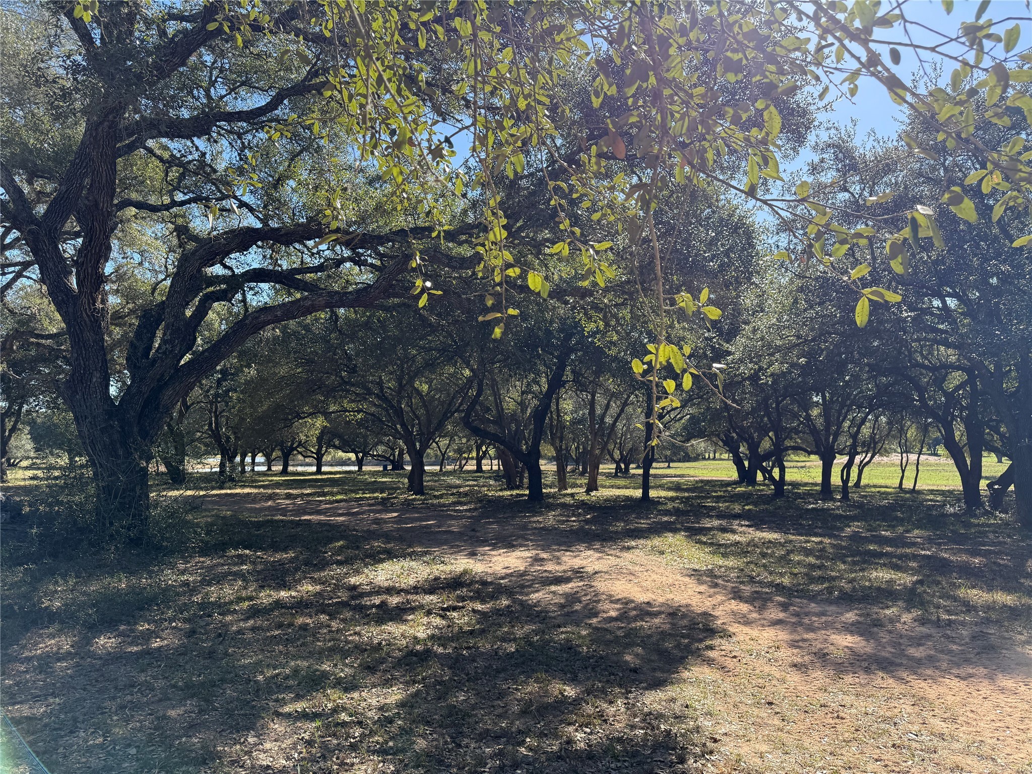 Tbd Rubin Lee Road Cat Spring, TX 78933 - Photo 20 of 23 a view of outdoor space with trees