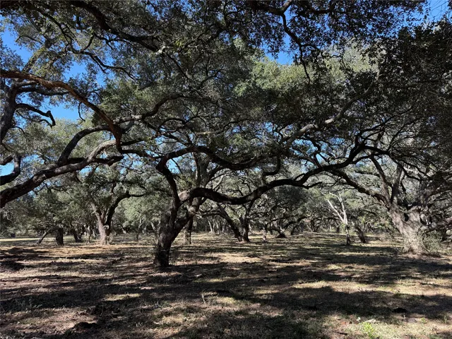 $2,875,000 | Tbd Rubin Lee Road, Cat Spring, TX 78933