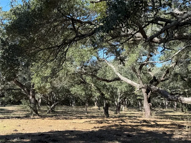 $2,875,000 | Tbd Rubin Lee Road, Cat Spring, TX 78933
