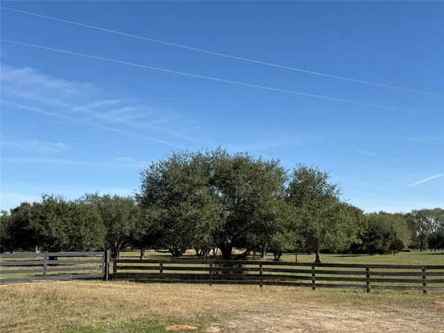a view of road and trees