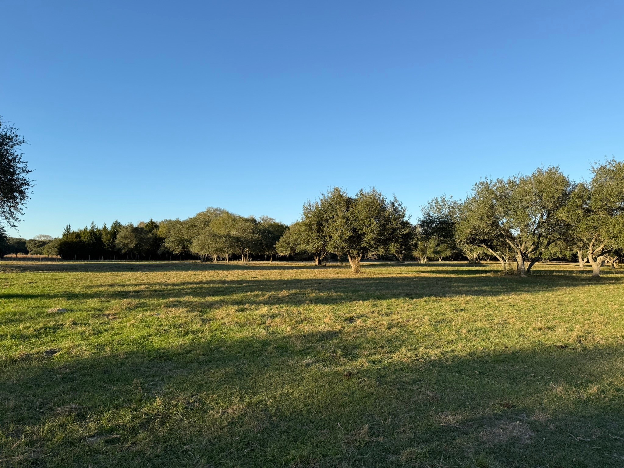 Tbd Rubin Lee Road Cat Spring, TX 78933 - Photo 7 of 23 a view of lake view and mountain view