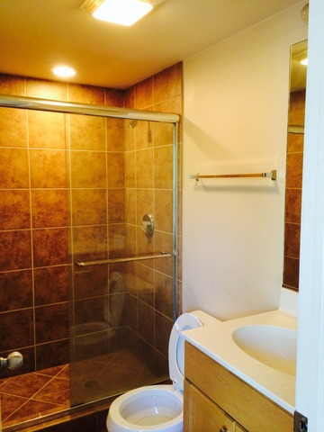 2457 West Harrison Street, Unit 2 Chicago, IL 60612 - Photo 11 of 13