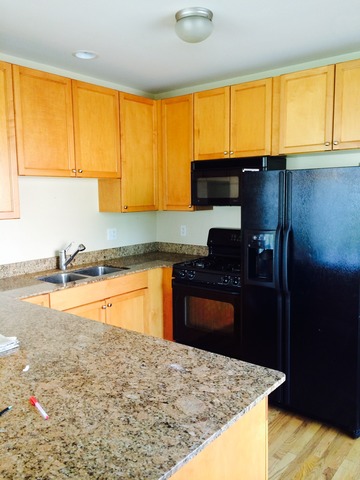 2457 West Harrison Street, Unit 2 Chicago, IL 60612 - Photo 7 of 13