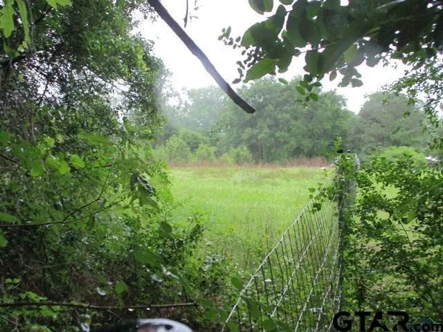 a view of outdoor space and yard