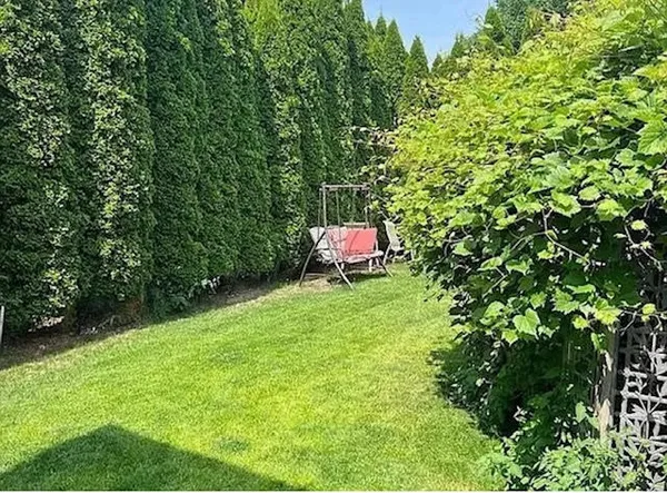 a view of a backyard with a trees