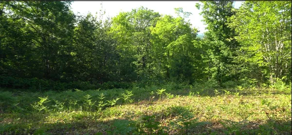$79,000 | 83-xxx - Lot 13 83-xxx - Road, Bayfield, WI 54814