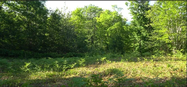 $79,000 | 83-xxx - Lot 13 83-xxx - Road, Bayfield, WI 54814
