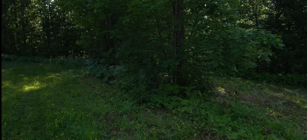 $79,000 | 83-xxx - Lot 13 83-xxx - Road, Bayfield, WI 54814