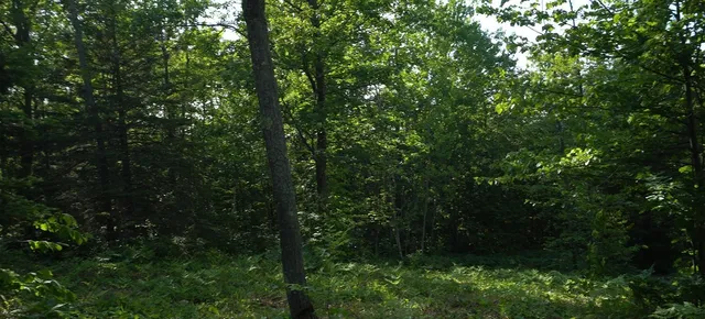 $79,000 | 83-xxx - Lot 13 83-xxx - Road, Bayfield, WI 54814