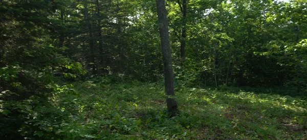 $79,000 | 83-xxx - Lot 13 83-xxx - Road, Bayfield, WI 54814