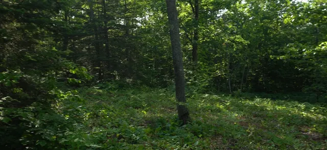 $79,000 | 83-xxx - Lot 13 83-xxx - Road, Bayfield, WI 54814