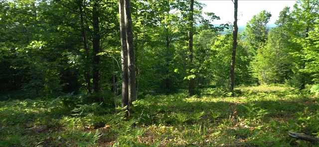 $79,000 | 83-xxx - Lot 13 83-xxx - Road, Bayfield, WI 54814