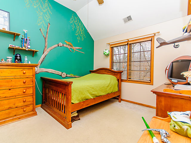 20545 Abbey Drive Frankfort, IL 60423 - Photo 13 of 25