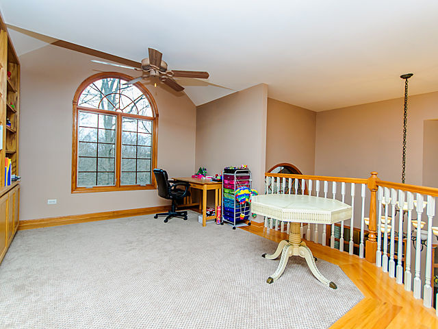 20545 Abbey Drive Frankfort, IL 60423 - Photo 18 of 25