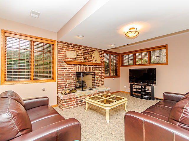 20545 Abbey Drive Frankfort, IL 60423 - Photo 19 of 25