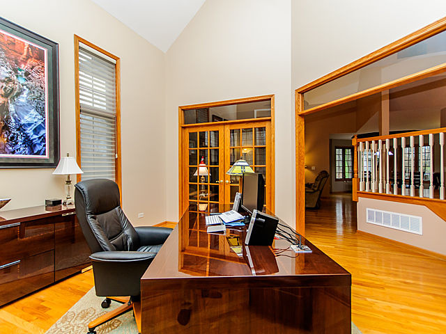 20545 Abbey Drive Frankfort, IL 60423 - Photo 3 of 25