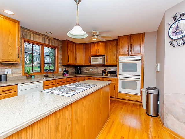 20545 Abbey Drive Frankfort, IL 60423 - Photo 5 of 25