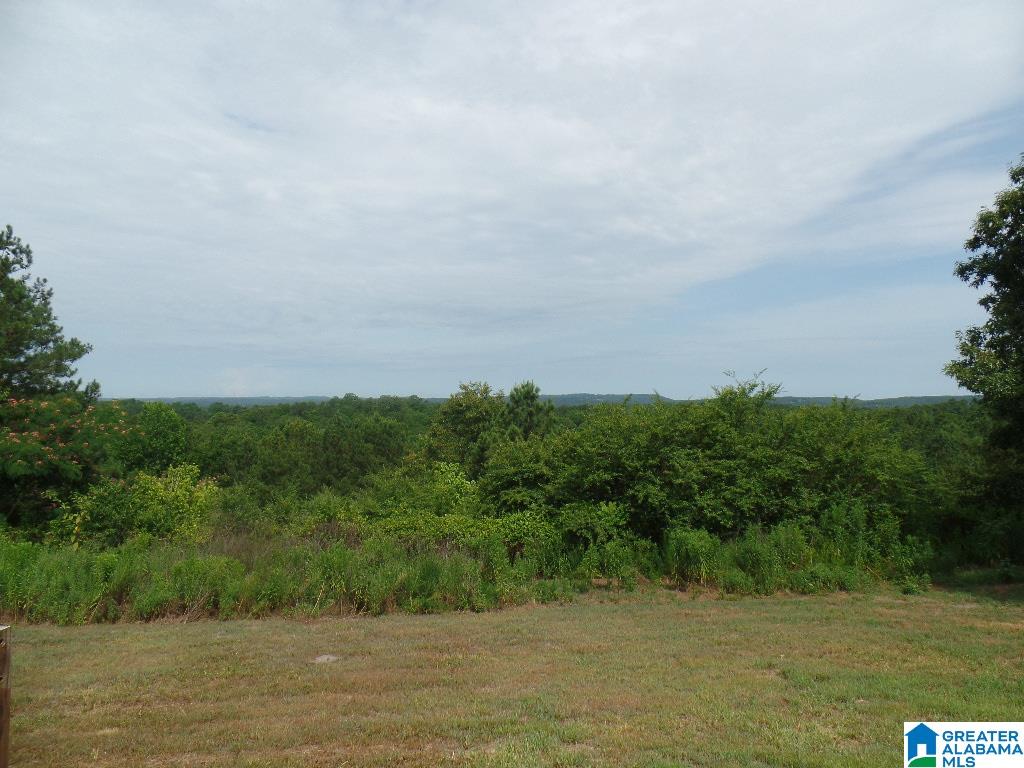 620 Commissary Road Warrior, AL 35180 - Photo 12 of 13