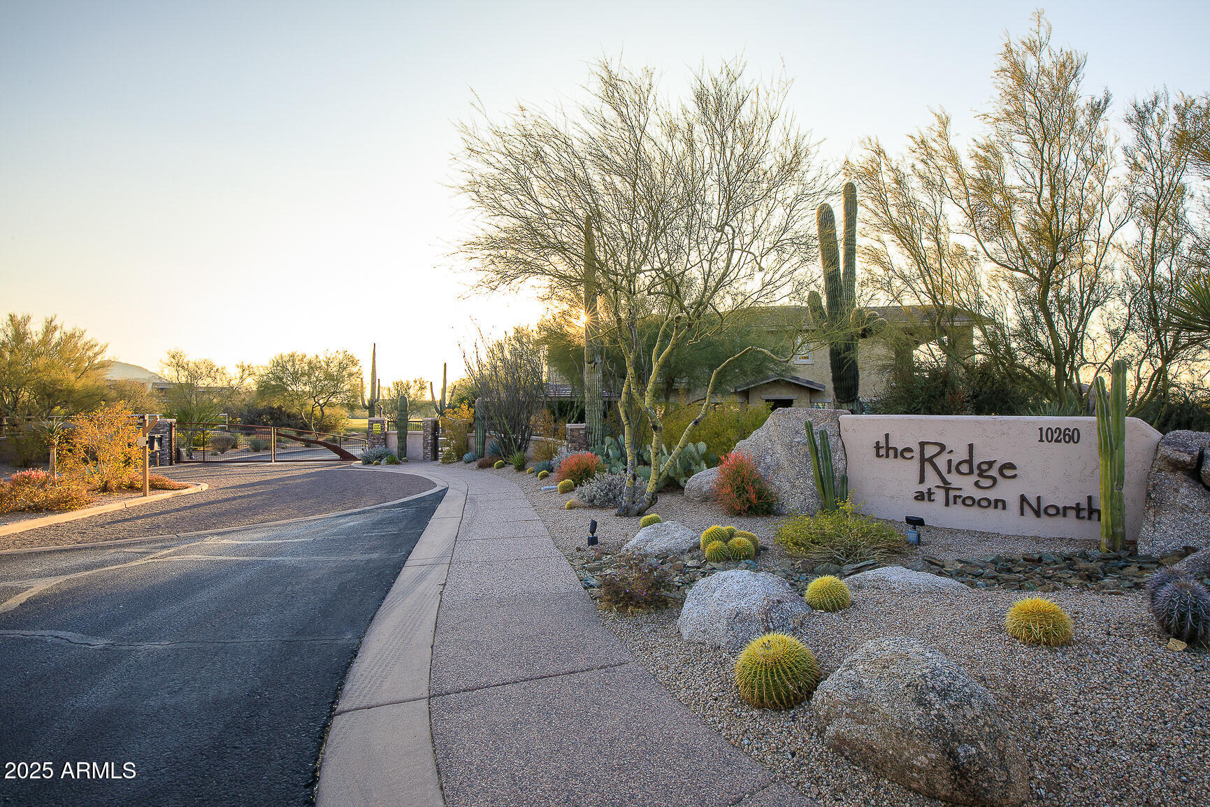 a view of a street with some trees