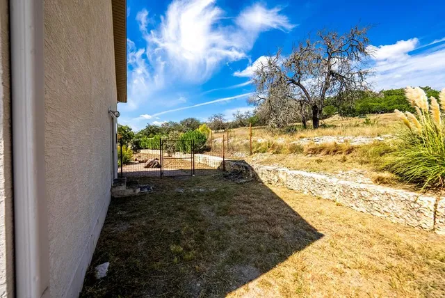 a view of a large yard with plants and large trees
