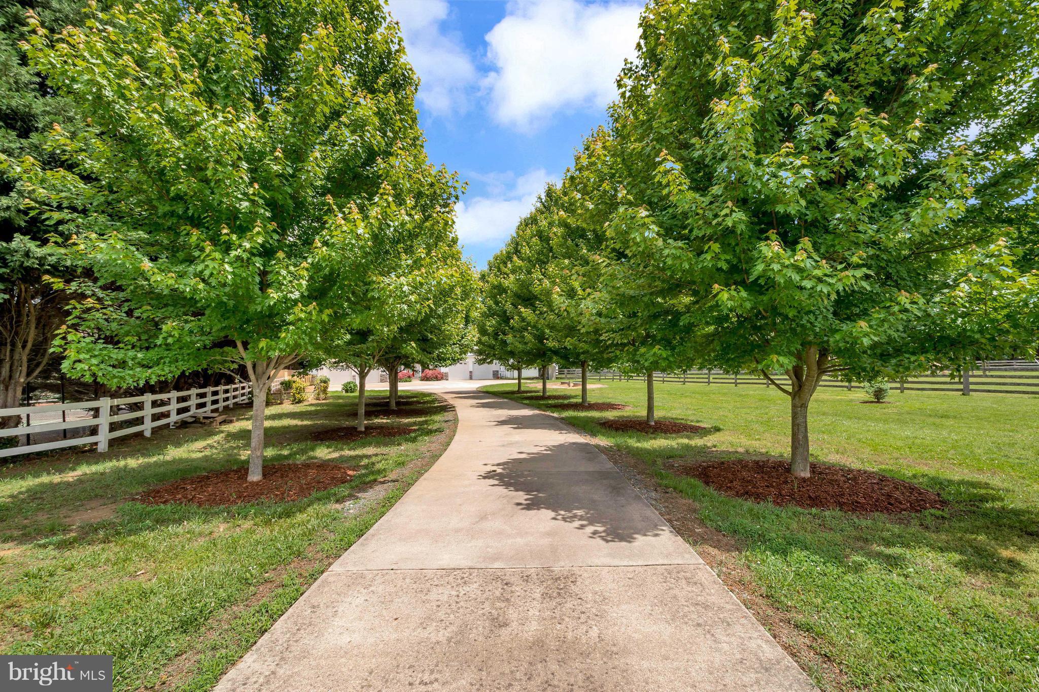 621 Marlborough Point Road Stafford, VA 22554 - Photo 14 of 30 a view of a park with large trees