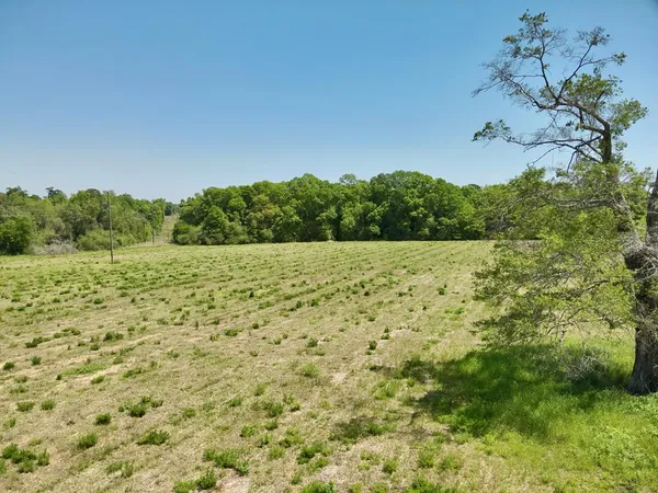 $92,000 | 11.97-acres Omussee Road, Cowarts, AL 36321