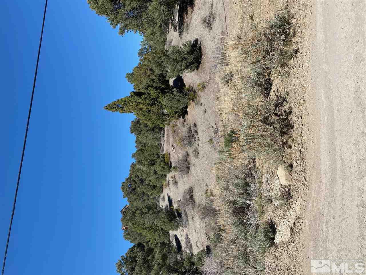 21600 Sazerac Reno, NV 89521 - Photo 1 of 2 a view of a dry yard