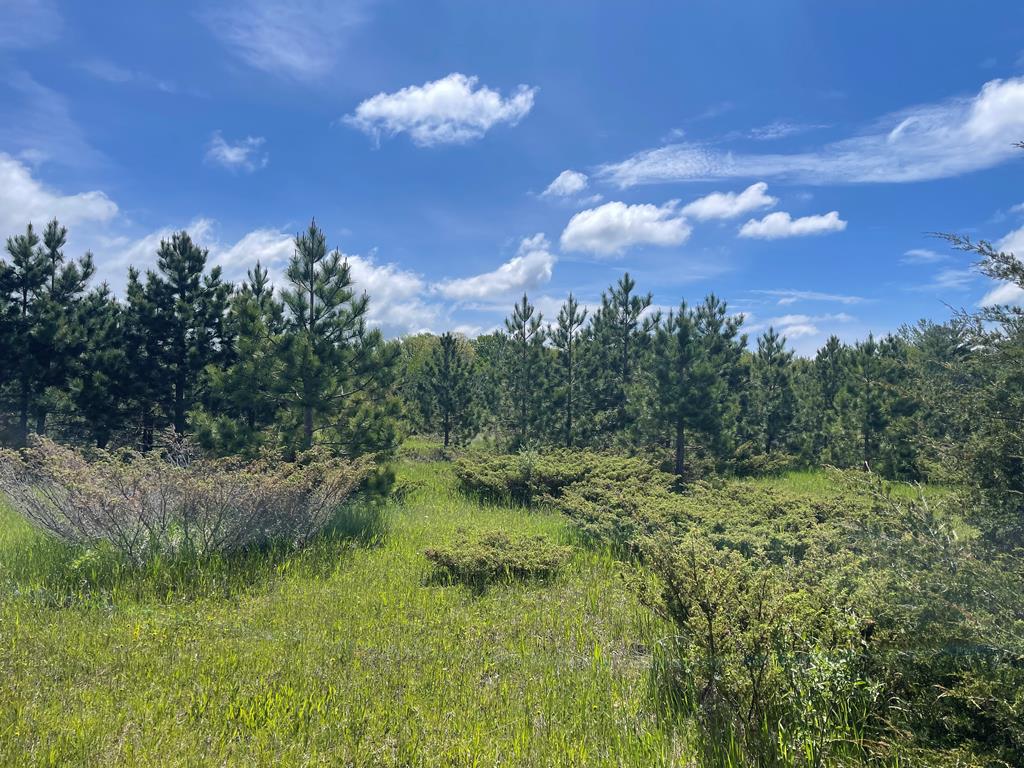 Tbd West Meadow Road Fish Creek, WI 54212 - Photo 4 of 10