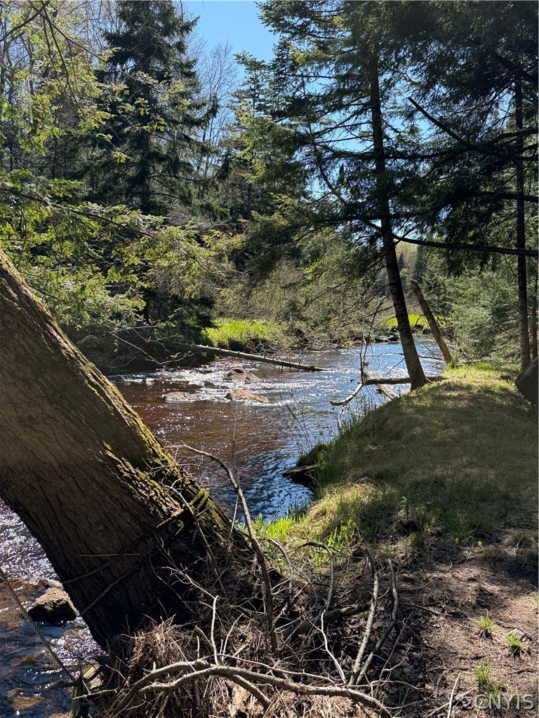 Lot # Meekerville Road Forestport, NY 13338 - Photo 31 of 45