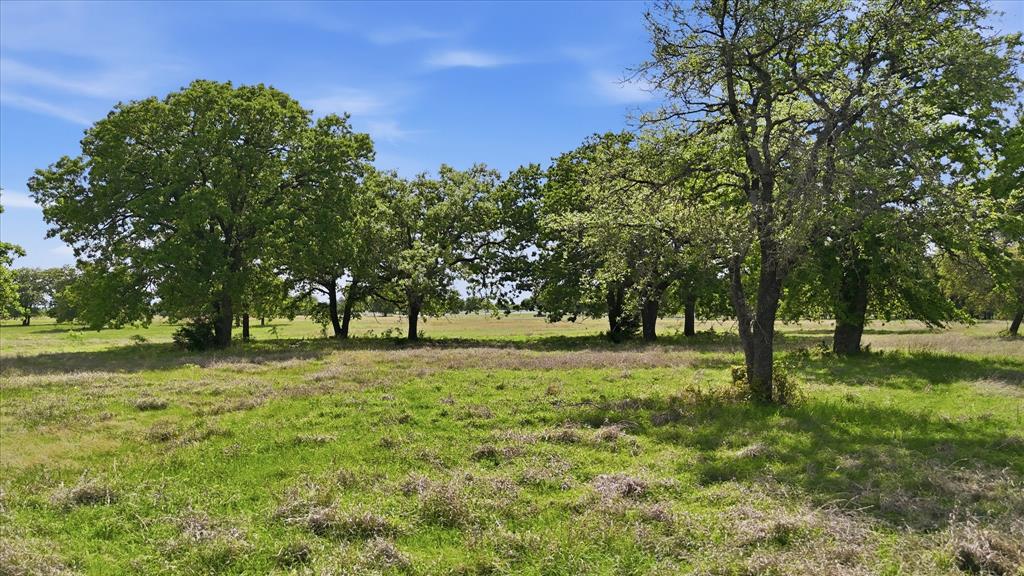 400 River Ranch Road Aledo, TX 76008 - Photo 11 of 31
