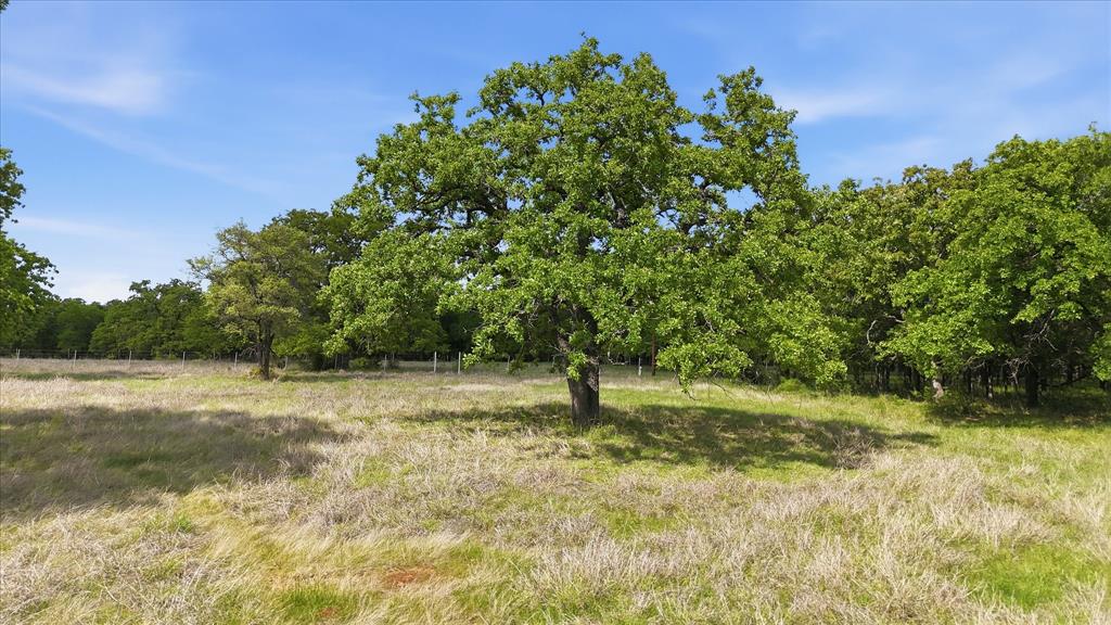 400 River Ranch Road Aledo, TX 76008 - Photo 16 of 31