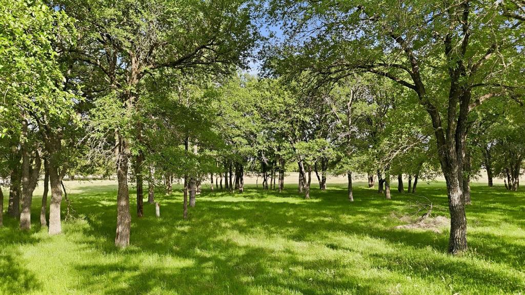 400 River Ranch Road Aledo, TX 76008 - Photo 17 of 31