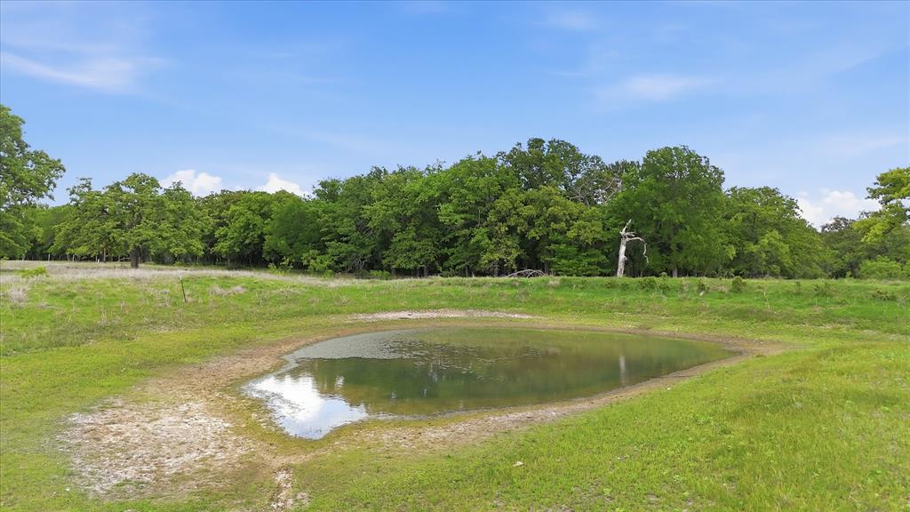 400 River Ranch Road Aledo, TX 76008 - Photo 19 of 31