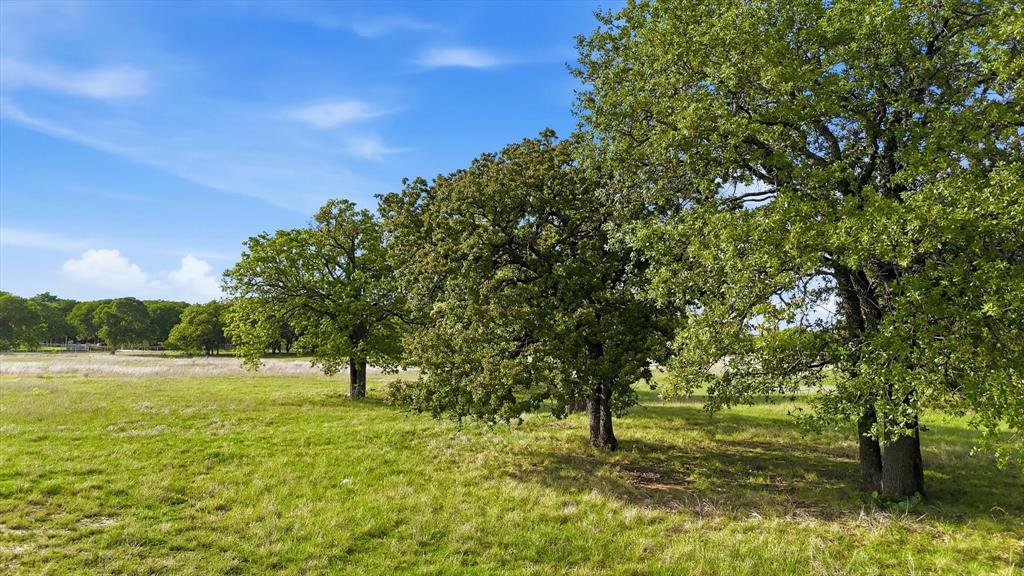 400 River Ranch Road Aledo, TX 76008 - Photo 2 of 31