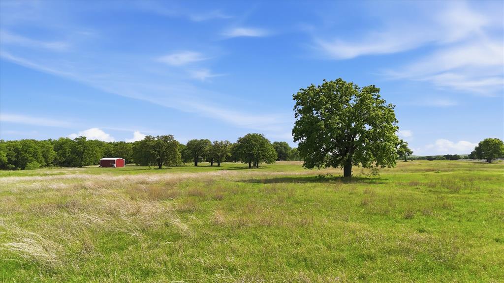 400 River Ranch Road Aledo, TX 76008 - Photo 4 of 31