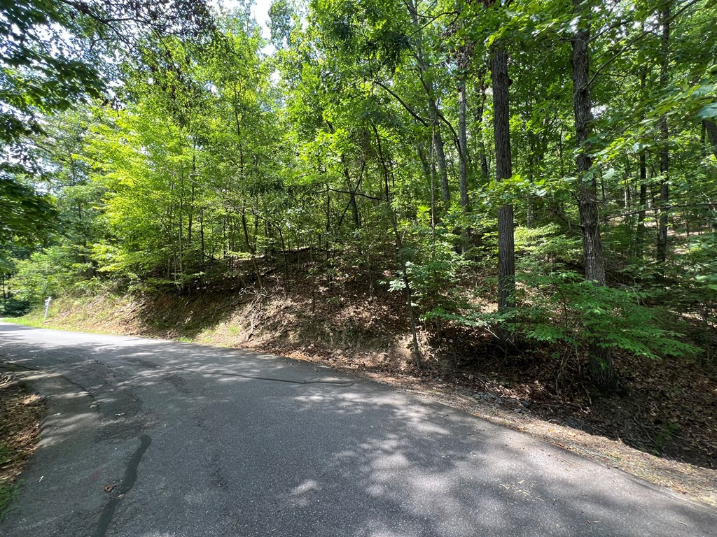 Lot 32 Mission Ridge Hayesville, NC 28904 - Photo 4 of 11