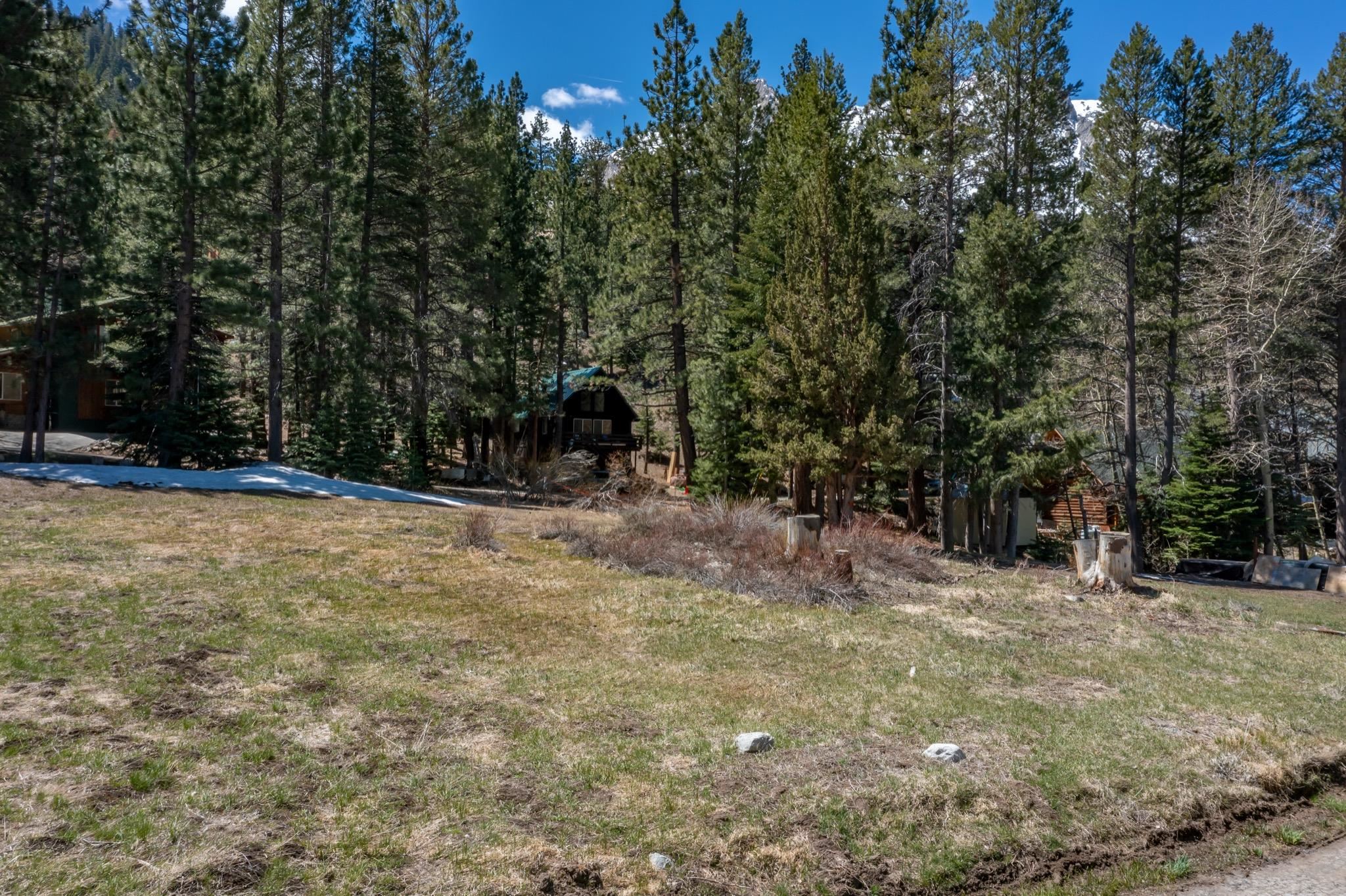 a view of outdoor space and yard