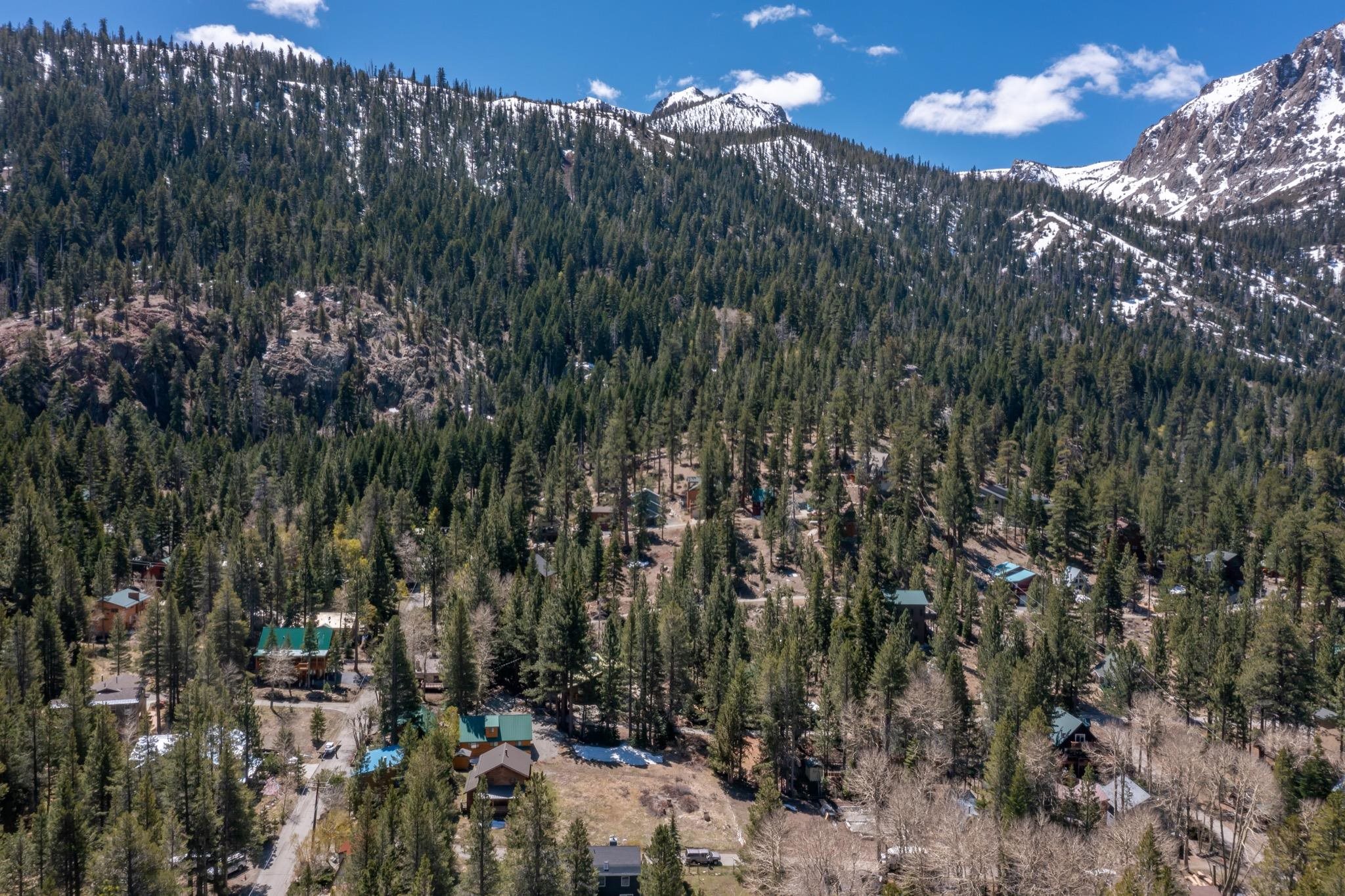 778 Steelhead Road June Lake, CA 93529 - Photo 14 of 16 a view of a city