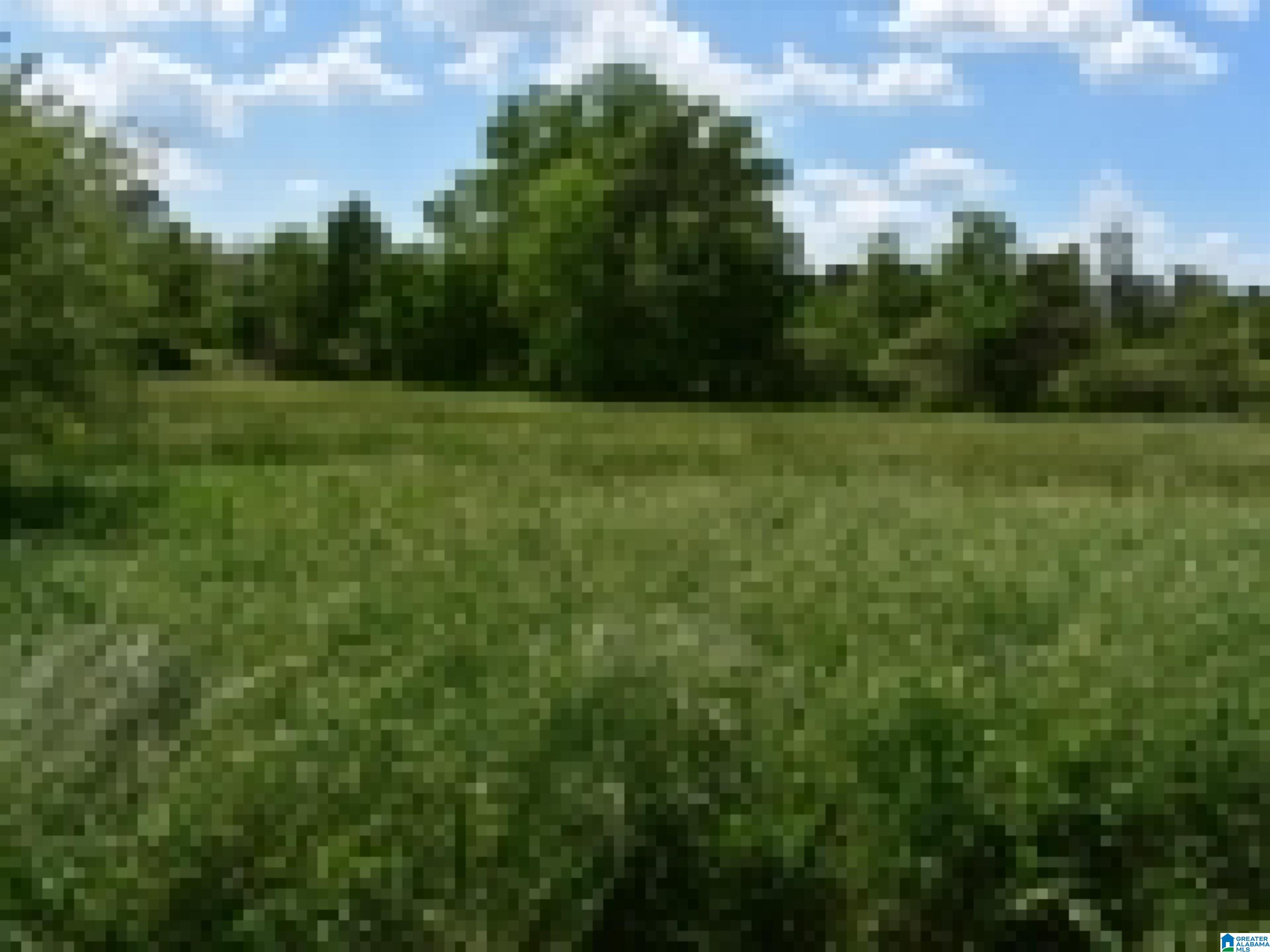 0 County Road 141, Unit 1 Ider, AL 35981 - Photo 22 of 29