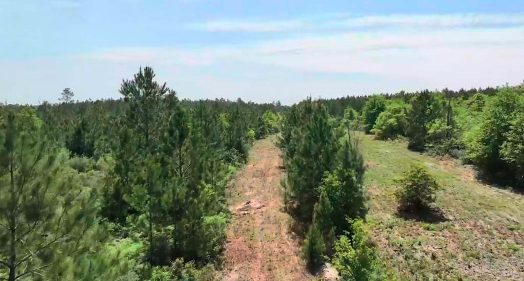 4 Sh 249 Navasota, TX 77868 - Photo 2 of 21 a view of a pathway with a lake view