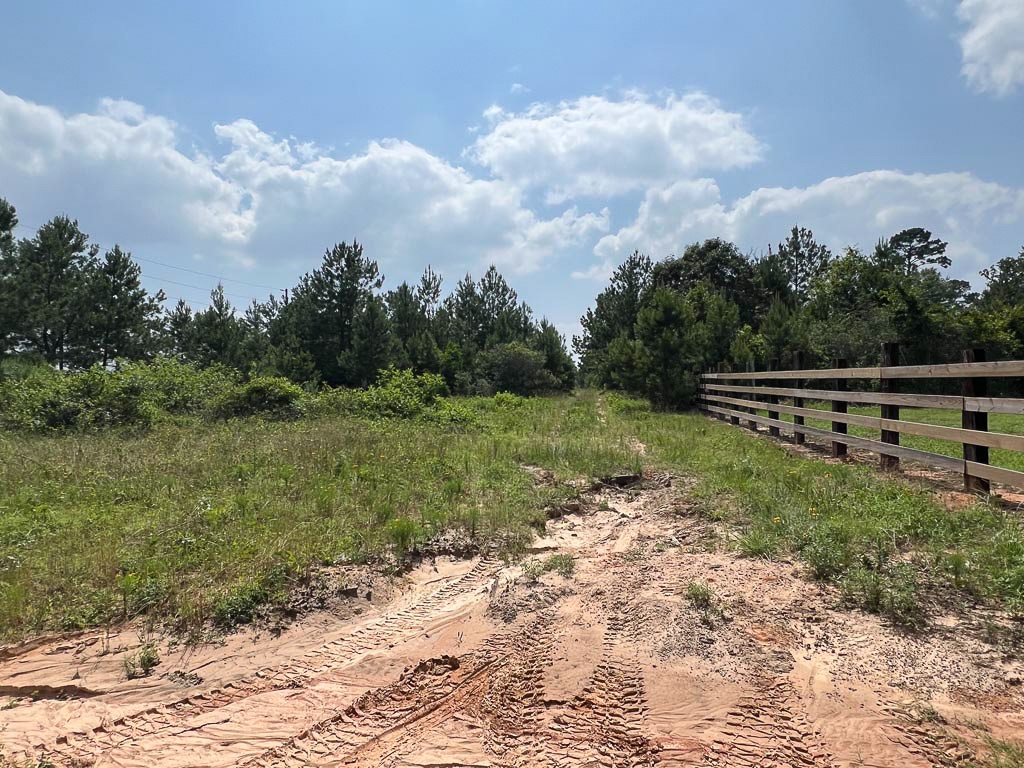 4 Sh 249 Navasota, TX 77868 - Photo 8 of 21 a view of outdoor space
